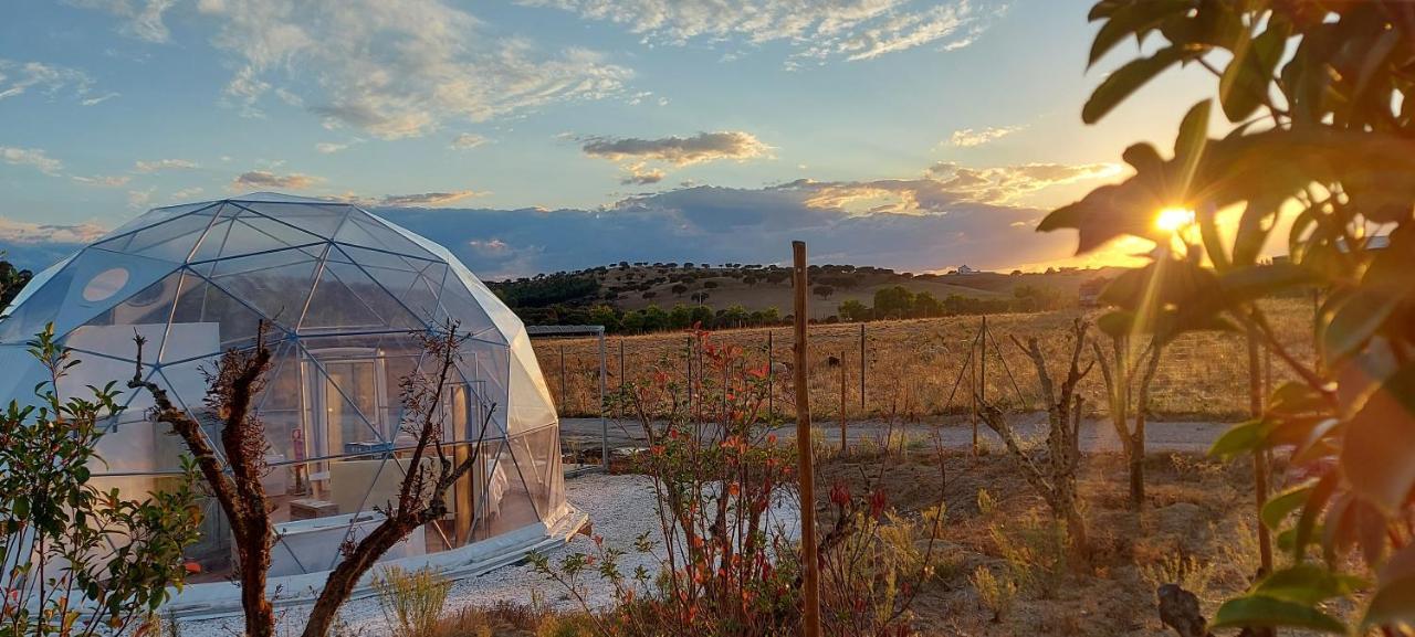Glamping Skies - Adults Only 埃斯特雷莫斯 外观 照片